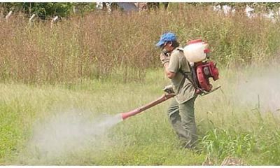 Agrot�xicos: el Municipio pone la lupa en las quintas de verdura