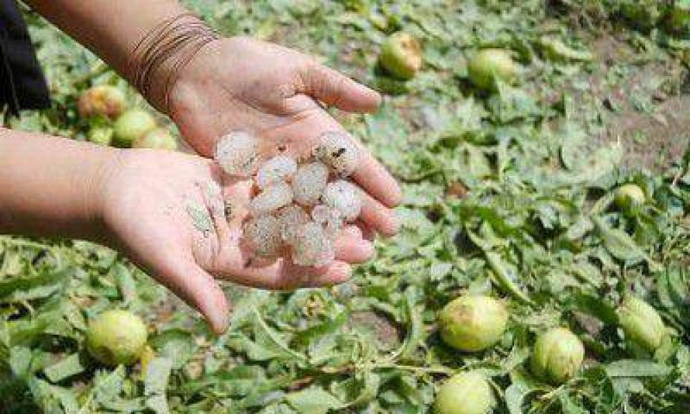 El viernes se destruyeron 18 n�cleos de tormenta sobre zonas cultivables con bombas antigranizo 