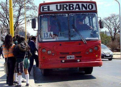 Ordenanza autoriza a filmar o fotografiar a choferes que usen celulares mientras conducen  