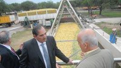 Visita del Gobernador a Planta Industrial Trapani