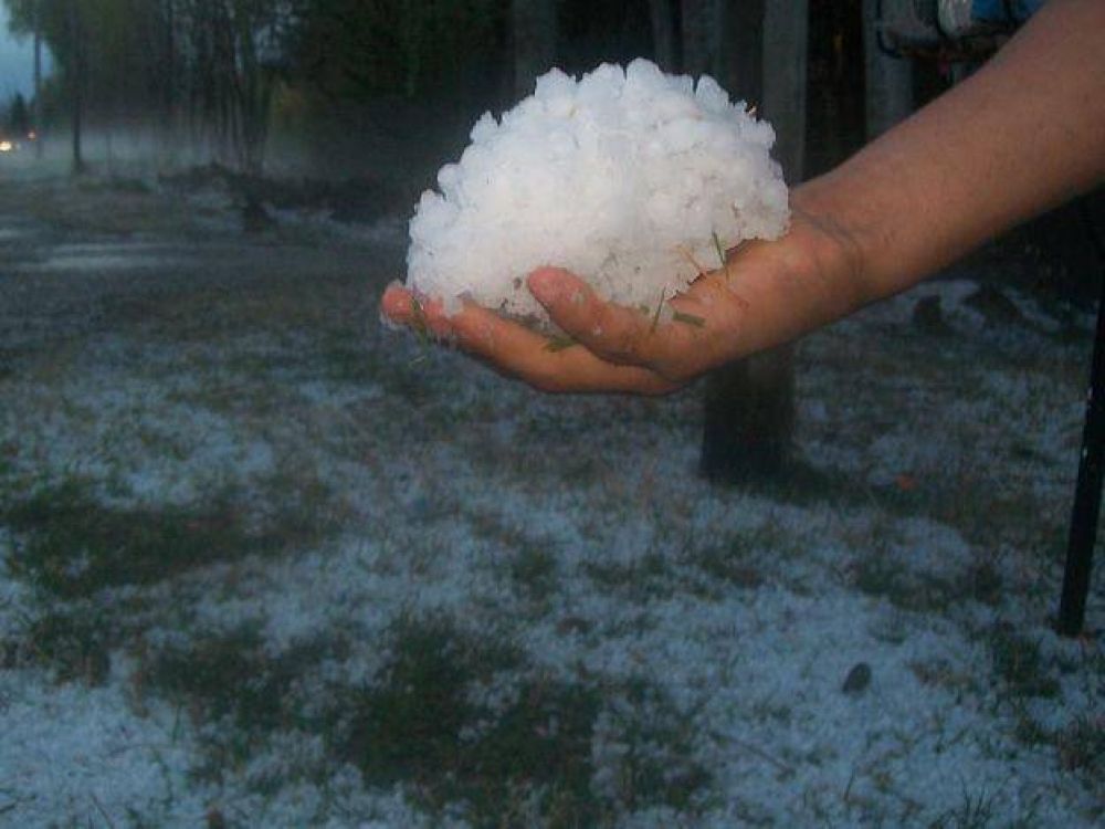Para el gobierno, la ca�da de granizo en el �ltimo mes y medio est� por arriba del promedio
