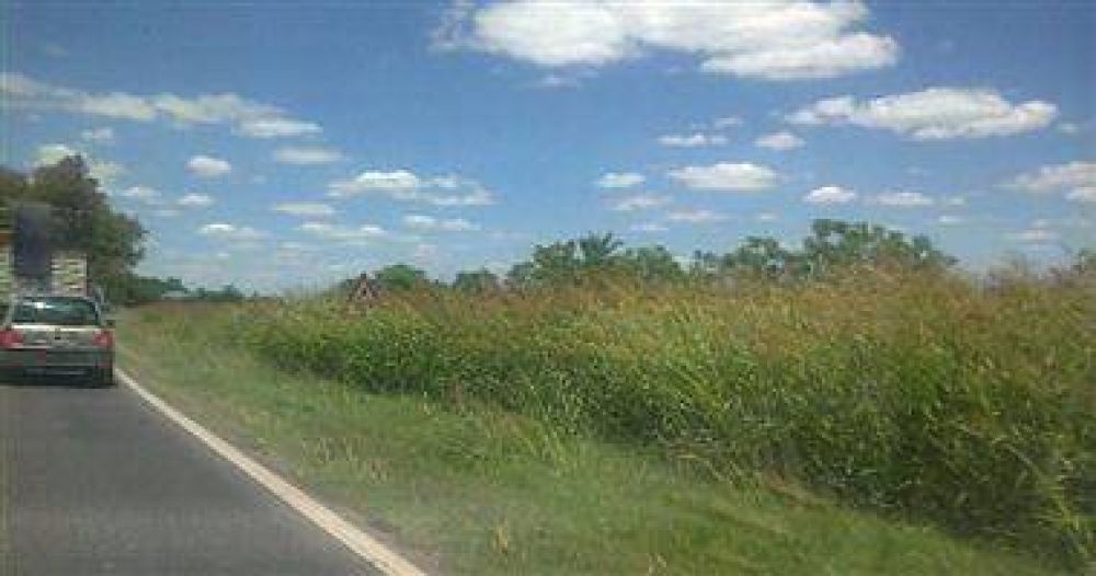 Ruta 34: las se�ales de tr�nsito ya no se ven