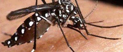 La prevenci�n es la clave para evitar el dengue 