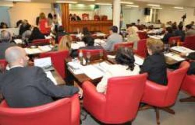 Caracter�sticas del sistema de primarias abiertas 