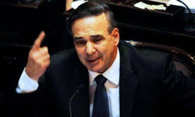 Pichetto y el caso Sof�a Viale: �eran m�s inteligentes los perros que la propia polic�a�