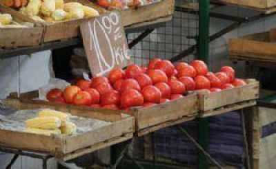 �Con el boicot, se consigue bajar el precio del tomate� 