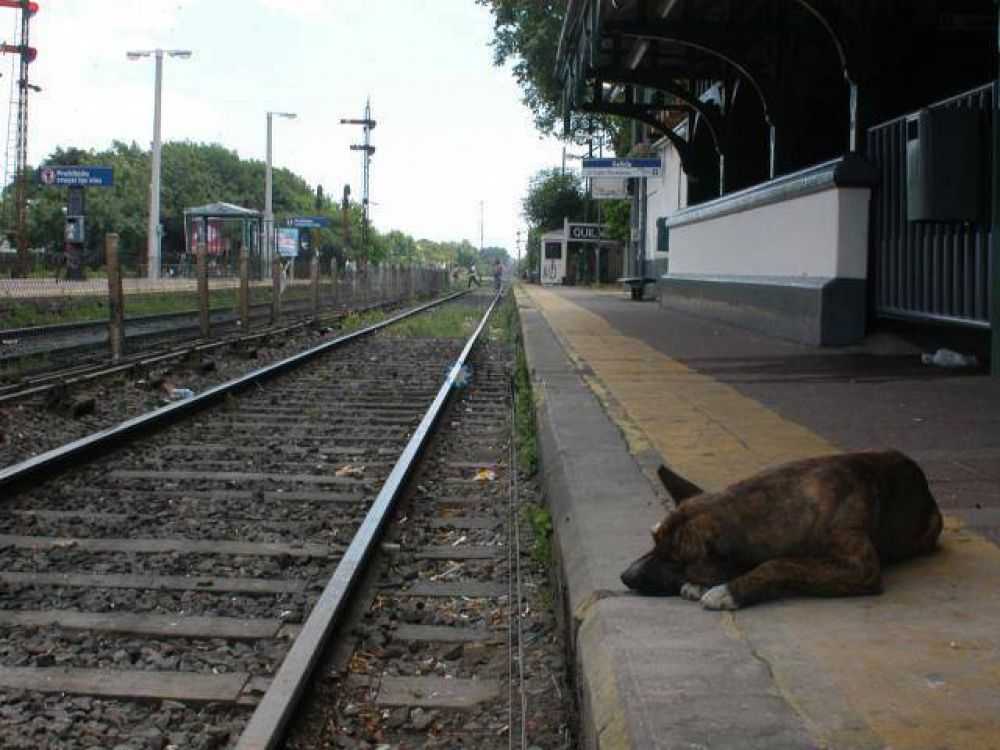 El paro se not� por la falta de trenes y por la adhesi�n de los docentes a la huelga general
