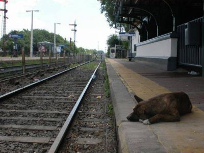 El paro se not� por la falta de trenes y por la adhesi�n de los docentes a la huelga general