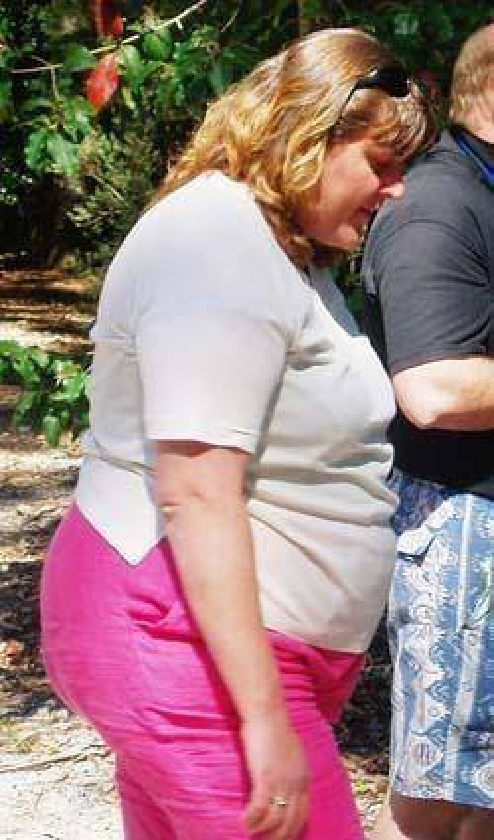 Plan para la atenci�n de personas obesas se brinda por la web