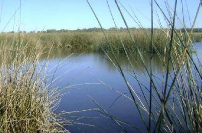 El Senado aprob� por unanimidad el proyecto de Reserva Natural para la Laguna de Rocha