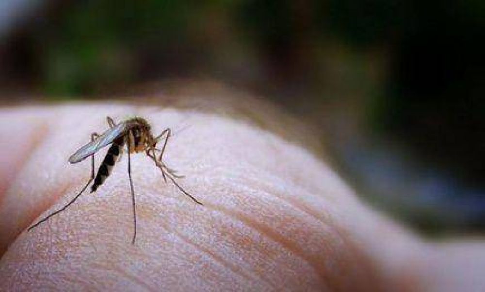 Un hombre de San Jos� tiene Leishmaniasis visceral