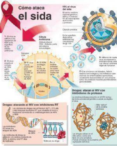 VIH-Sida: menos muertes y m�s esperanza para los pacientes que conviven con el virus