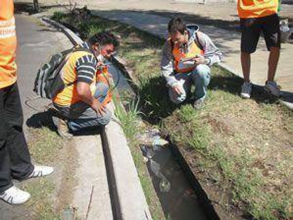Campa�a contra el dengue y el chagas