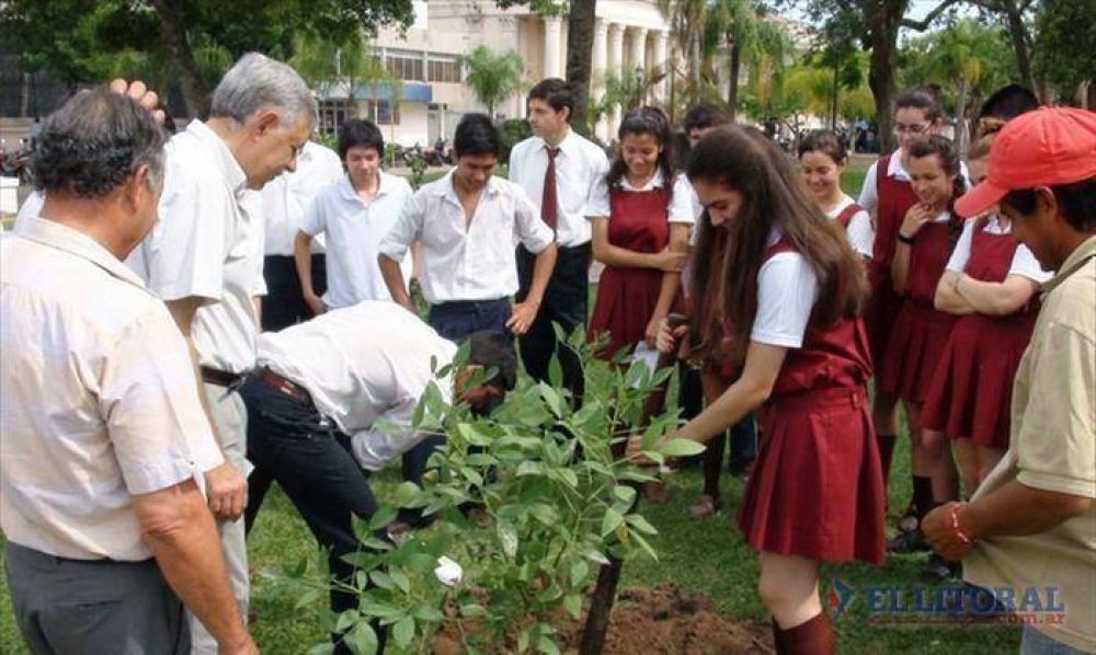 Alumnos goyanos plantaron durante 2012 unos 500 �rboles en la ciudad