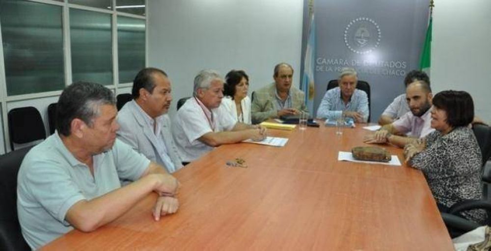 Judis, ante los legisladores, explic� que Secheep "no corta el sistema, los sistemas de protecci�n son los que cortan"