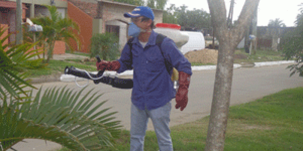 Profundizan la fumigaci�n contra el dengue