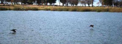 Presentan estudio provincial sobre la Laguna La Arocena 