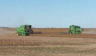 Modificaciones al C�digo Fiscal preocupan al sector agropecuario