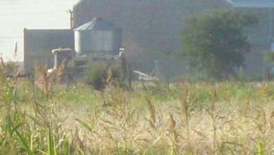 Vecinos denunciaron ante la Justicia la fumigaci�n en campos aleda�os a la ciudad