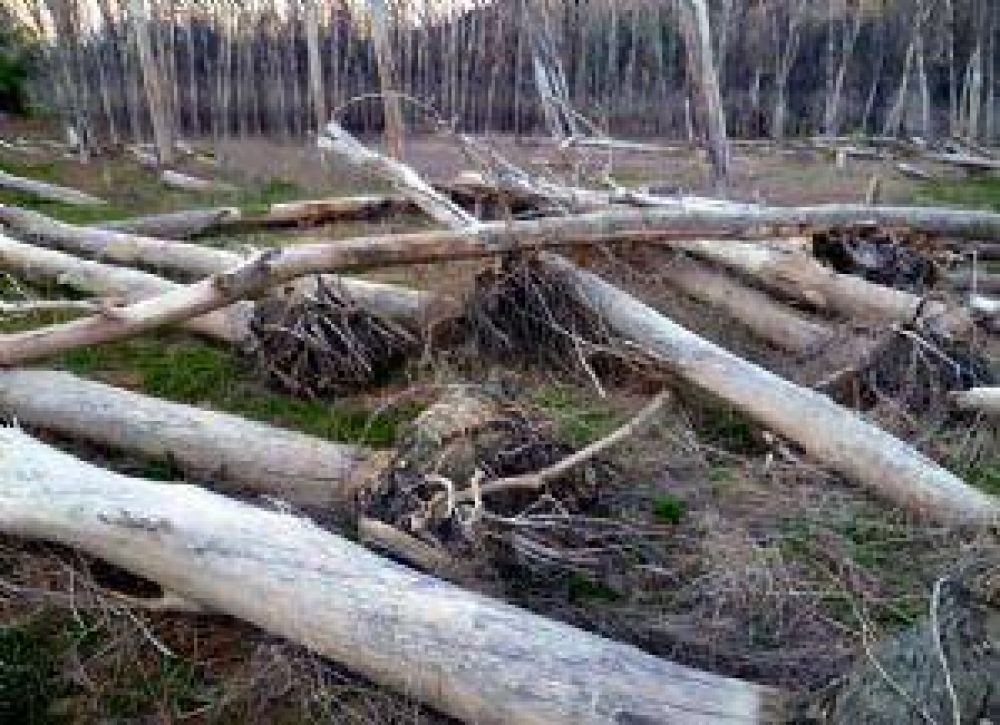 En la zona de Potrerillos, el nivel del agua descendi� 30 por ciento 