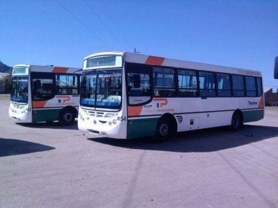 Transpuntano no extender� l�neas a la nueva terminal