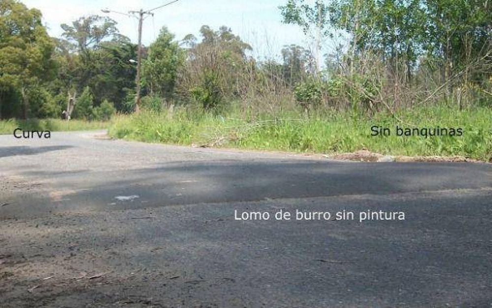 Denuncian �falta de se�alizaci�n de lomos de burros� frente a escuela