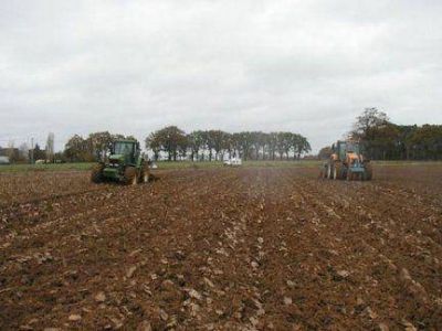 Cay� m�s de 40 % la siembra de trigo en Entre R�os y es la menor en los �ltimos 13 a�os