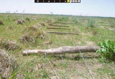 Destrozaron m�s de un kil�metro de alambrados en acto vand�lico