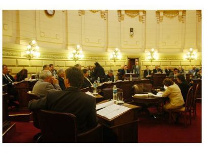 El tema de la seguridad cop� la agenda parlamentaria de fin de a�o