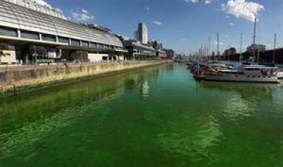 Una extra�a mancha verde fl�o ti�e las aguas de Puerto Madero