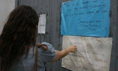 Las ratas invadieron una escuela y los padres temen enviar a sus hijos 