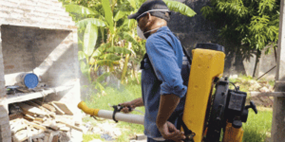  Dengue: Presentaron oficialmente la campa�a 2013