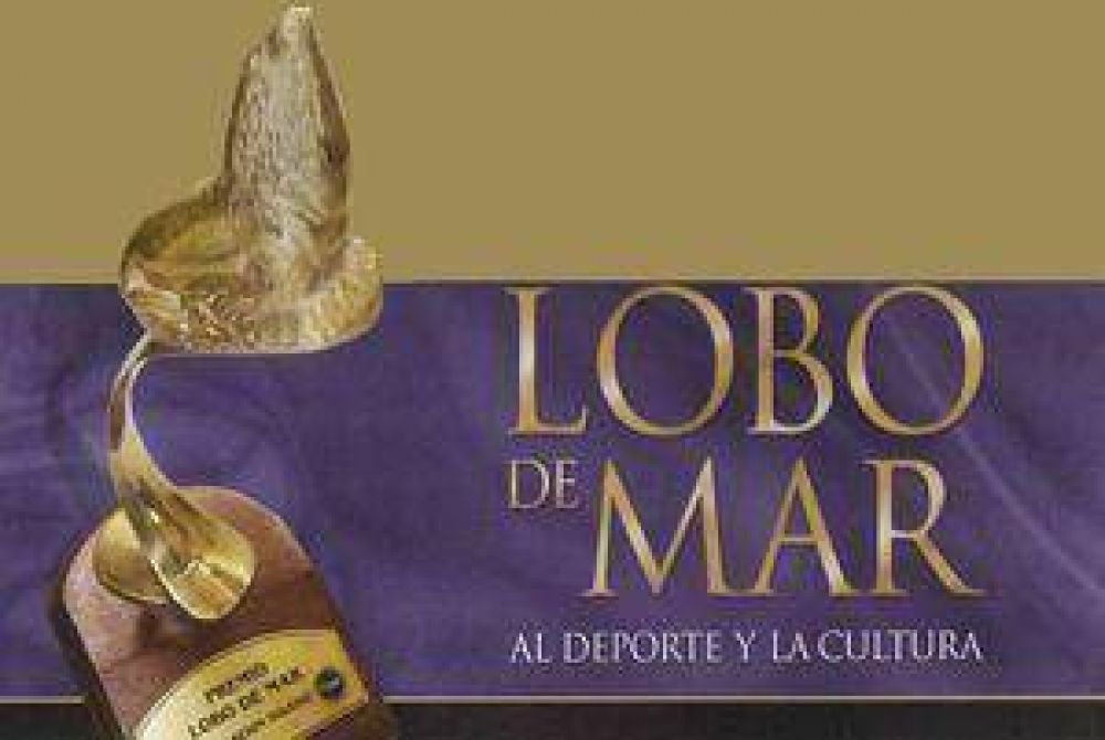 Se conocieron las ternas para los �Lobo de Mar�