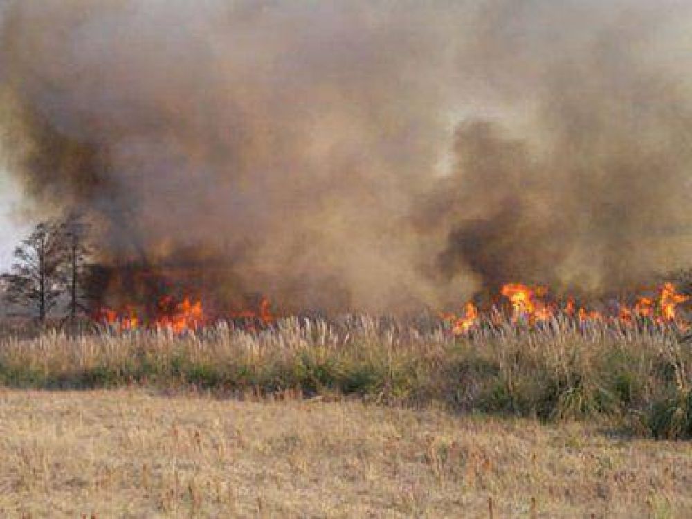 Prohibieron realizar quemas por tres meses en todo el territorio provincial