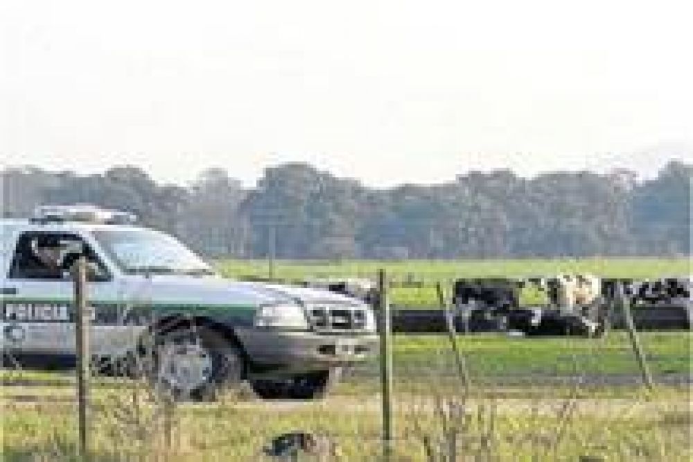 Detuvieron a cuatro personas que estar�an vinculadas con el robo de ganado: ser�an integrantes de una banda