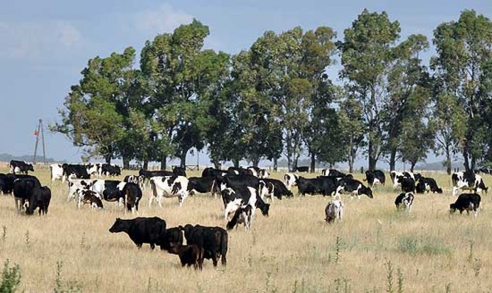 La venta de campos tambi�n sufre los efectos de las restricciones al d�lar
