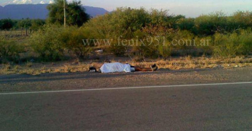 Encuentran ciclista sin vida en ruta 5 