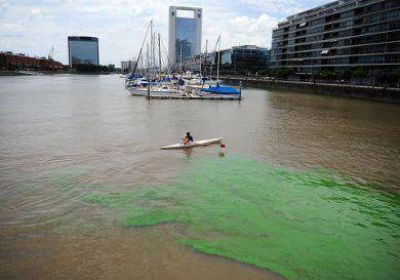 El agua del R�o de la Plata en Puerto Madero apareci� de color fl�o