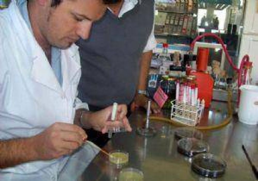 Control de triquinosis en Maip� 