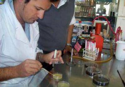 Control de triquinosis en Maip� 