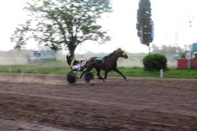 Una historia sin fin, no hay m�s carreras de trote 