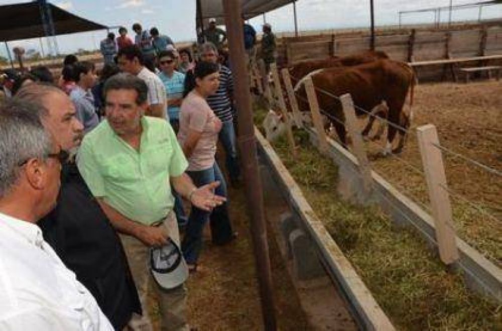 Arre Vaquita
