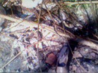 Detienen a joven por descuartizar a una compa�era de trabajo en Lan�s