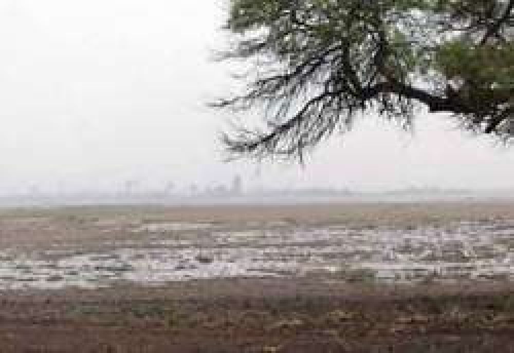 Buenos registros de lluvia en casi toda la provincia 	