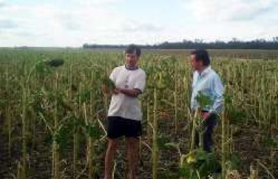�Mientras el campo arriesga el gobierno prioriza su caja� 