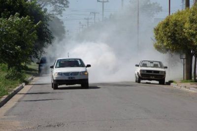 La Municipalidad comenz� la fumigaci�n contra el barig��