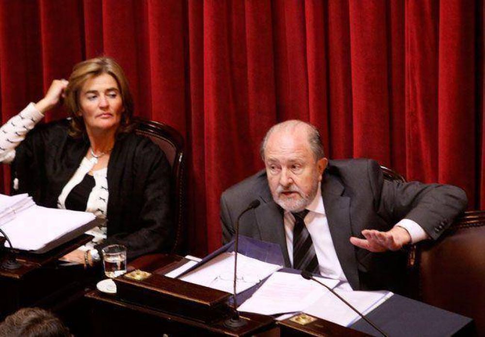 Higonet gener� un esc�ndalo en el Senado y Verna aprovech� para desautorizarla 