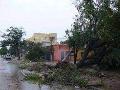 Tras el temporal, casas sin techos y un centenar de �rboles ca�dos