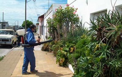Intensifican los controles y fumigaci�n para la prevenci�n del dengue
