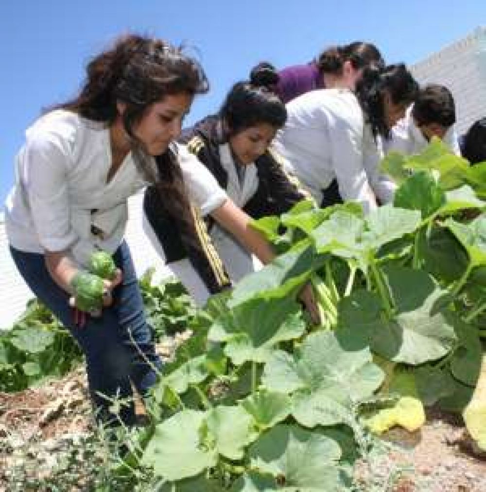Alumnos que ense�an a hacer huertas en un centro de salud 